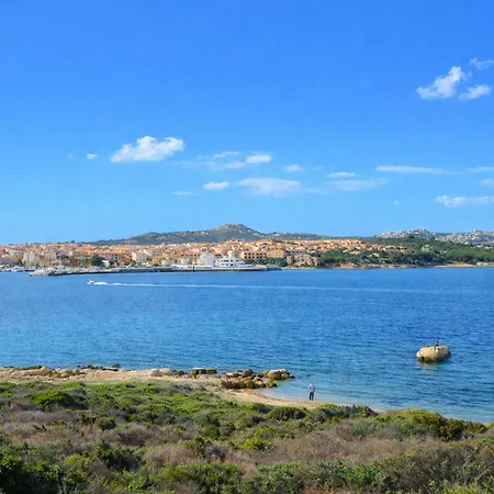Vicino * Palau